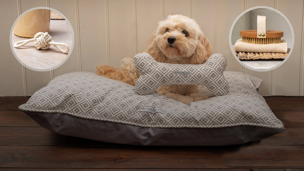 National Pet Month Giveaway