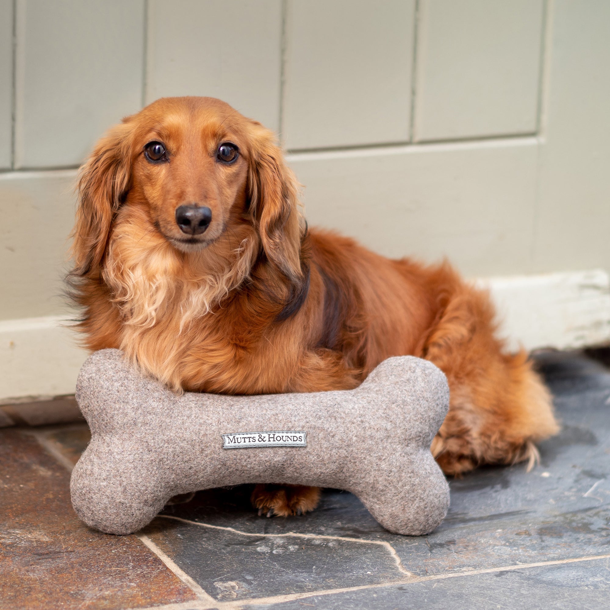 Grey Tweed Squeaky Bone Dog Toy