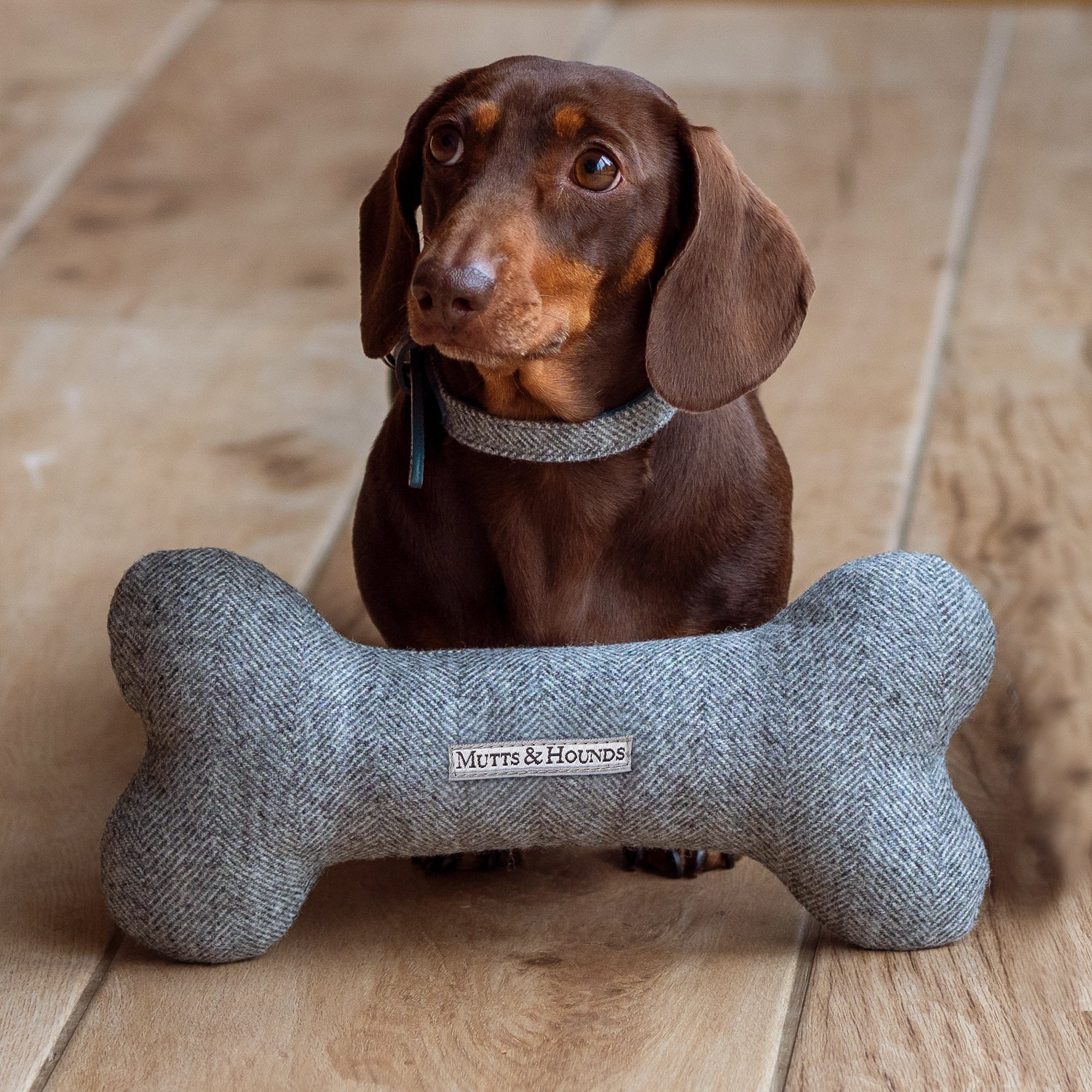 Stoneham Tweed Squeaky Bone Dog Toy