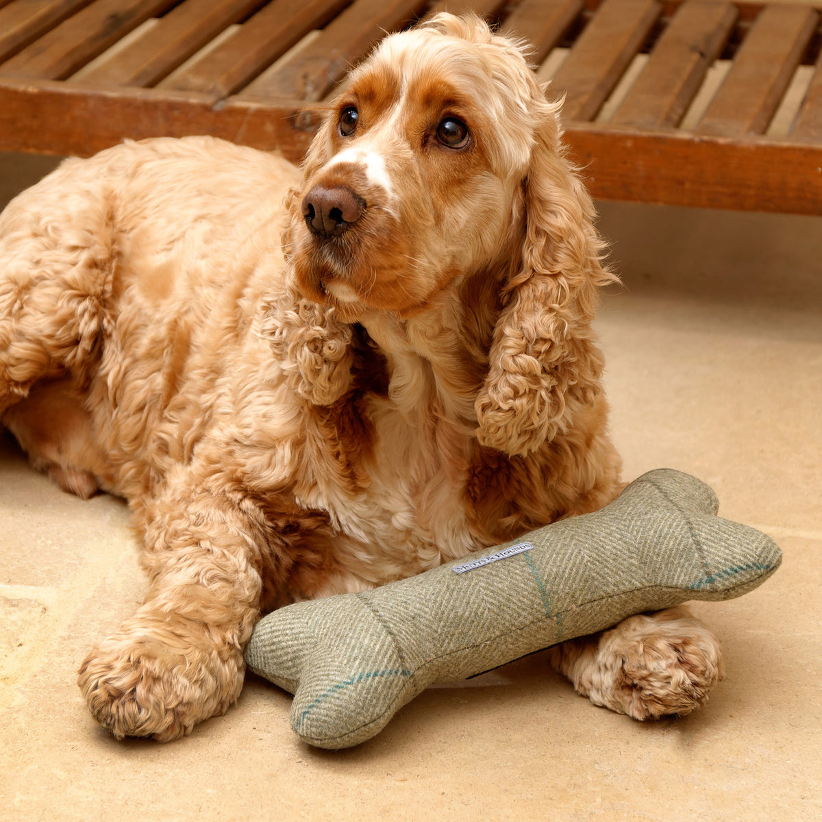 Willow Check Tweed Squeaky Bone Dog Toy