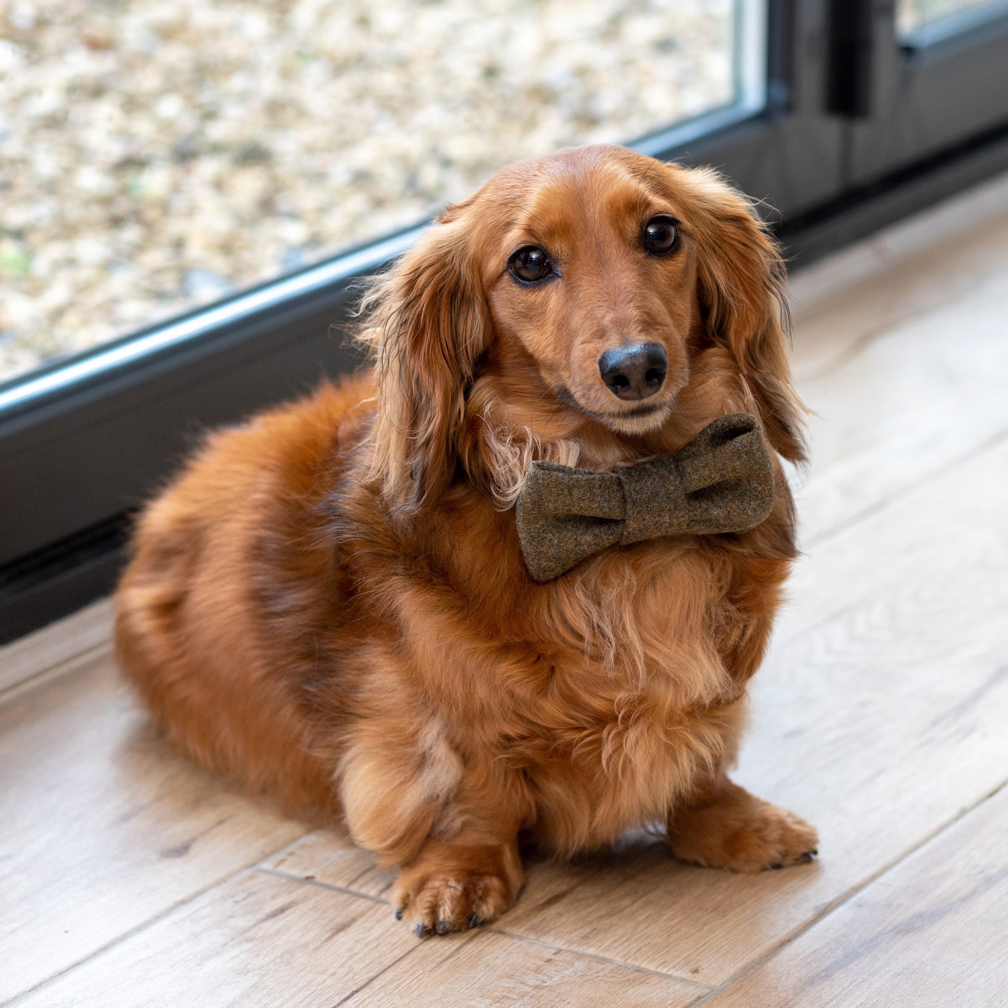 Forest Green Tweed Dog Bow Tie