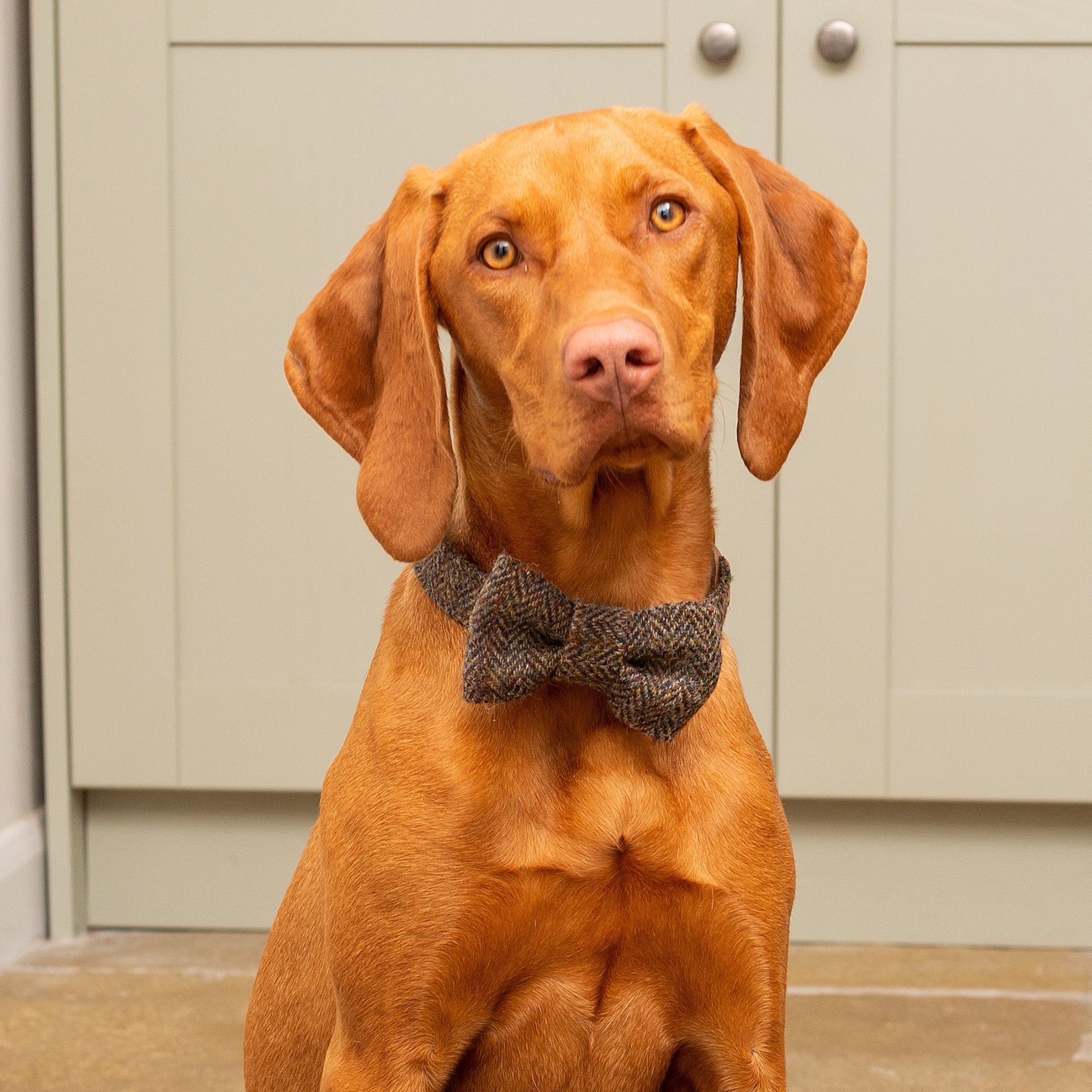 Heritage Tweed Dog Bow Tie
