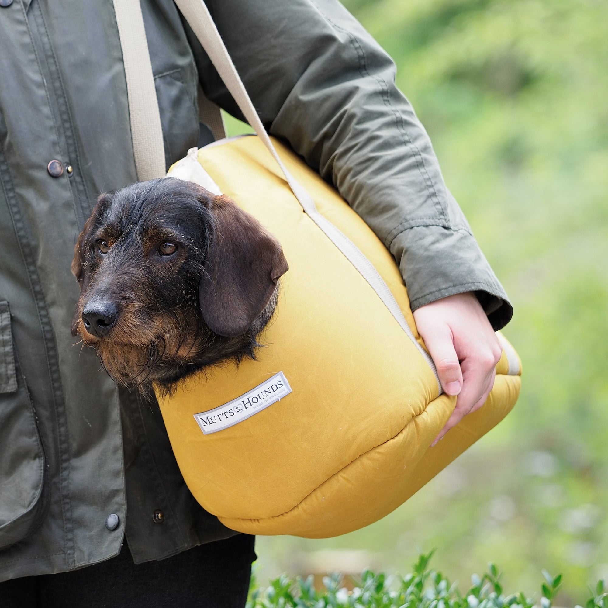 Mustard Wax Dog Carrier