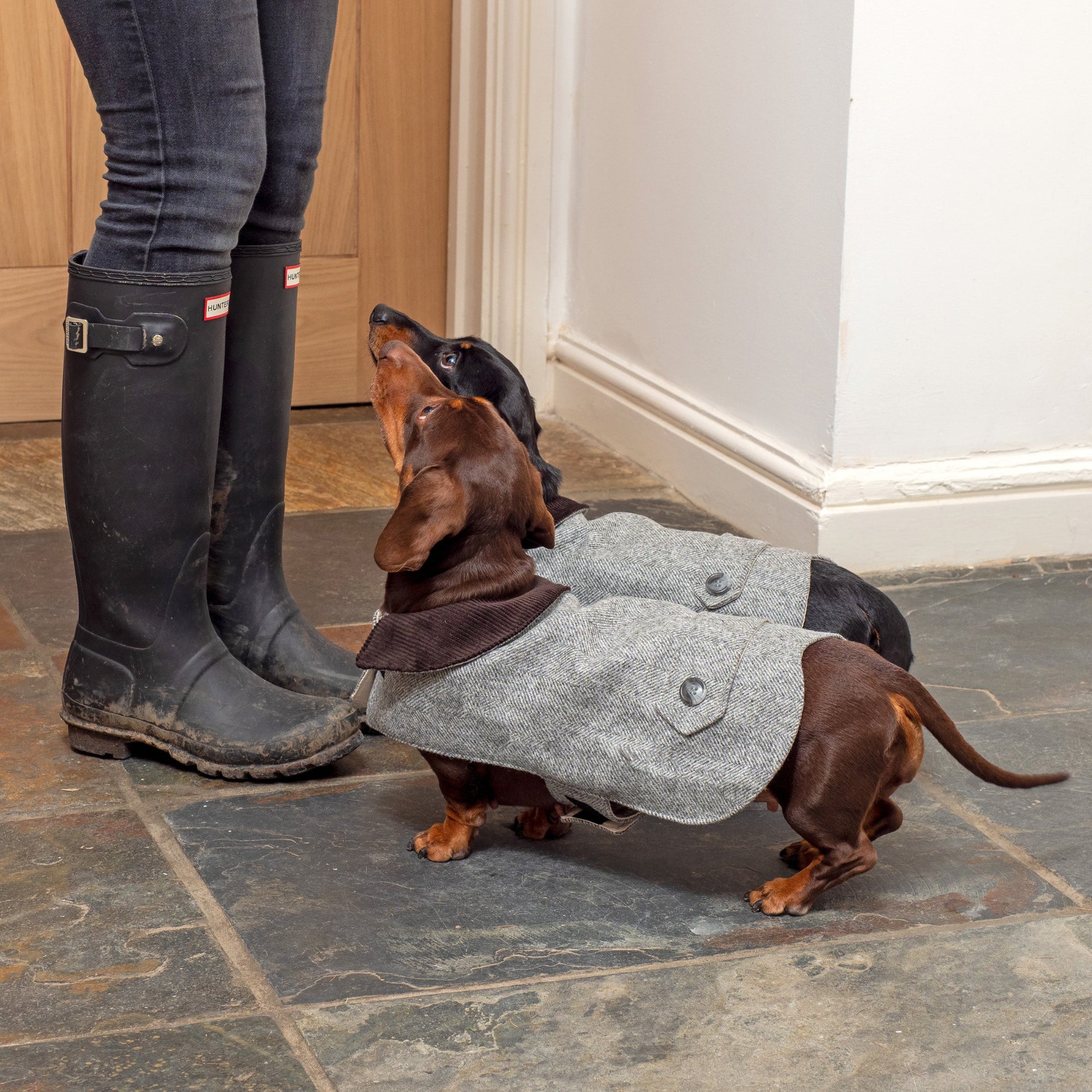 Stoneham Tweed Dog Coat