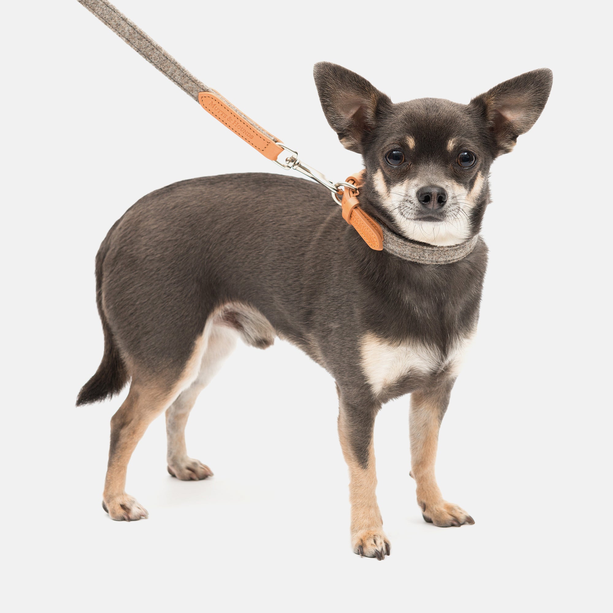 Camello Leather & Grey Tweed Dog Collar
