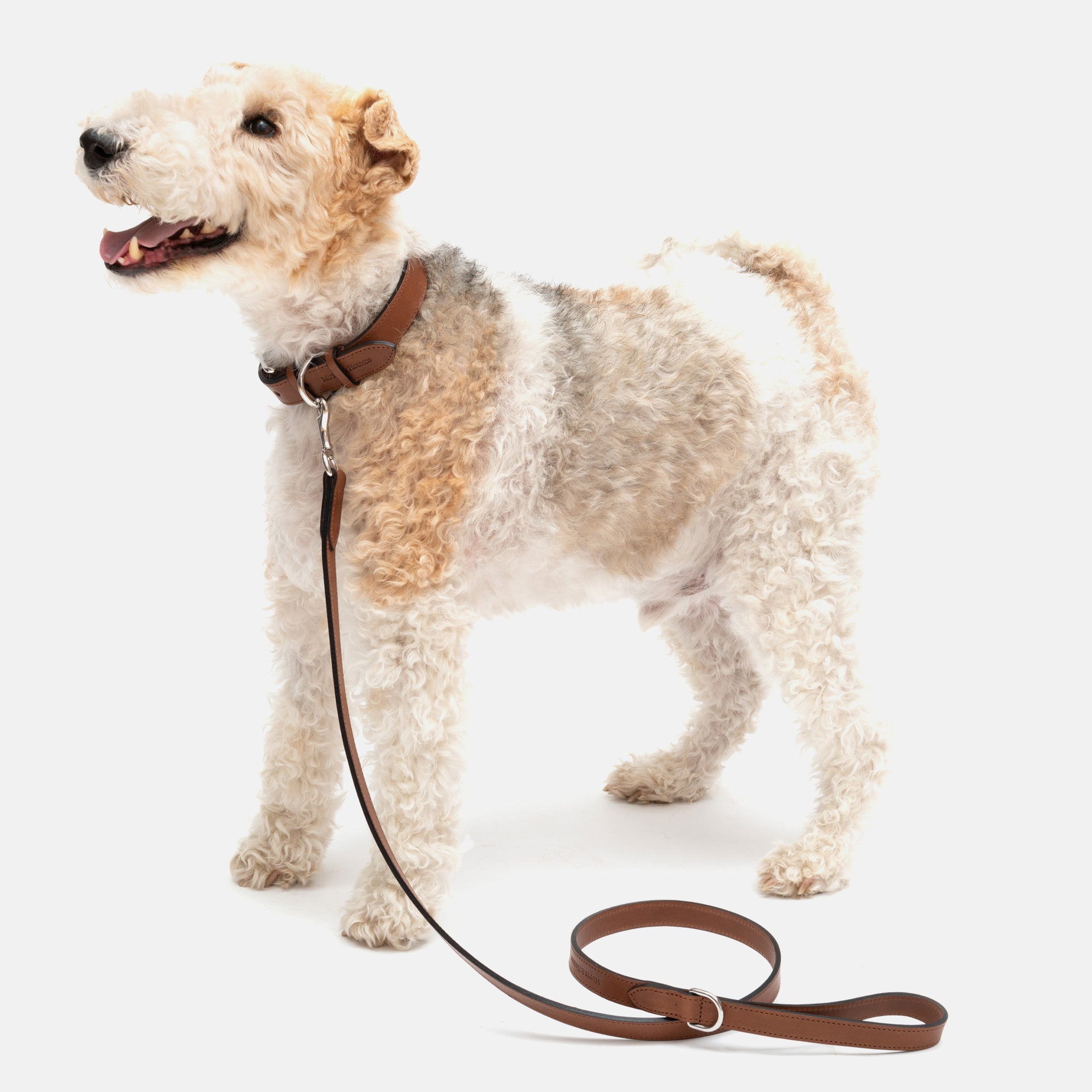 Tan Leather Dog Collar