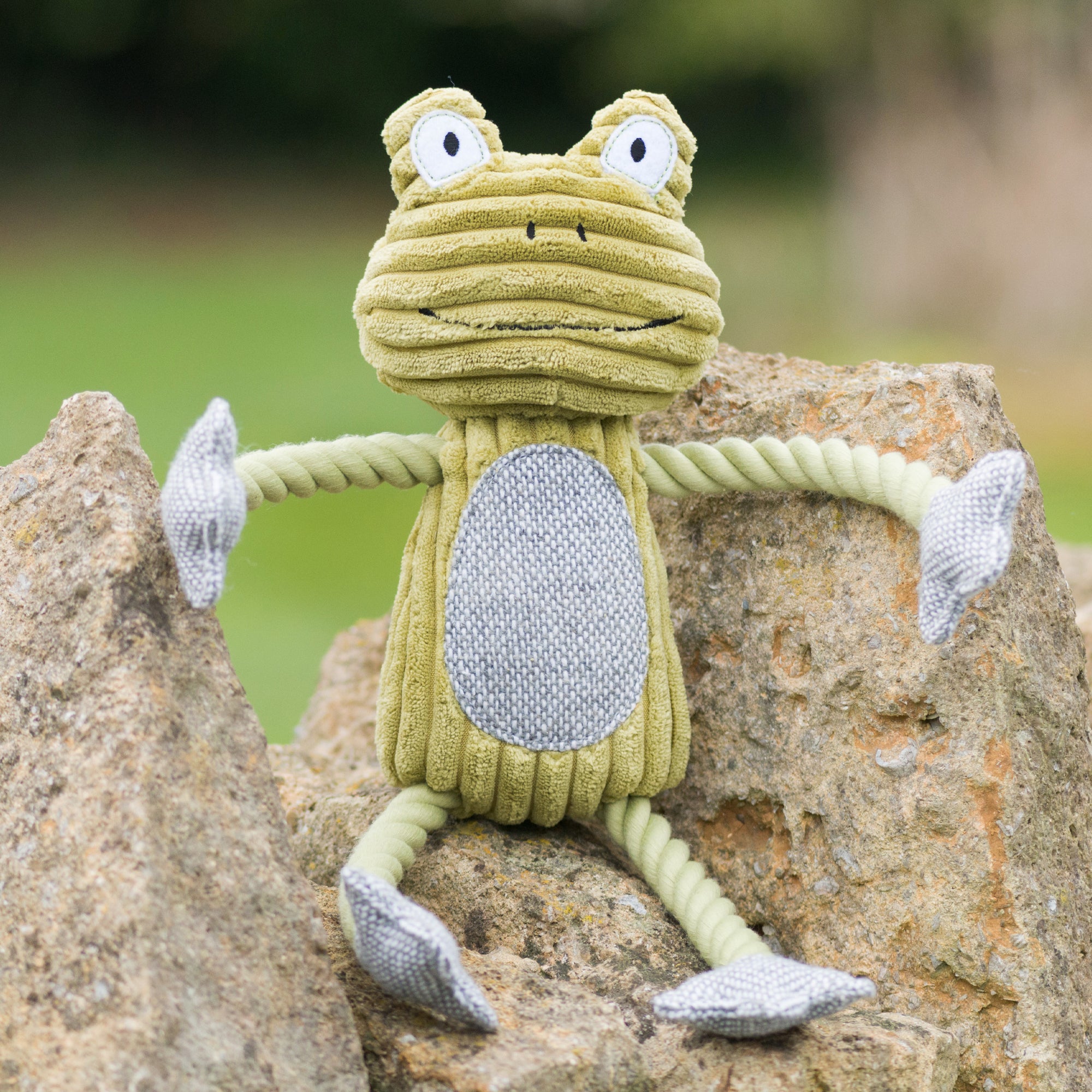 Fredrik Frog Plush Dog Toy