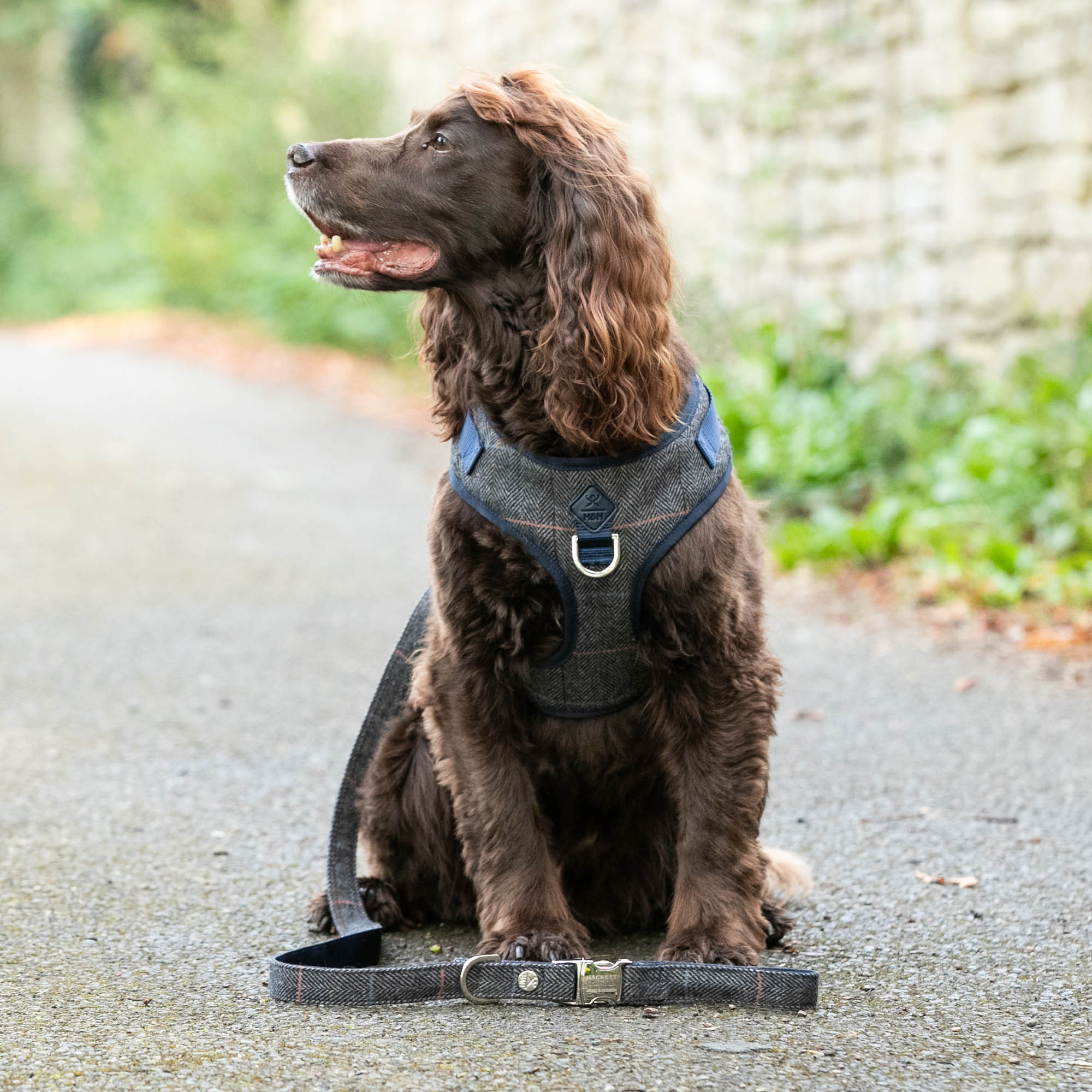 Hugo & Hudson X Hackett Grey Checked Herringbone Tweed Dog Harness