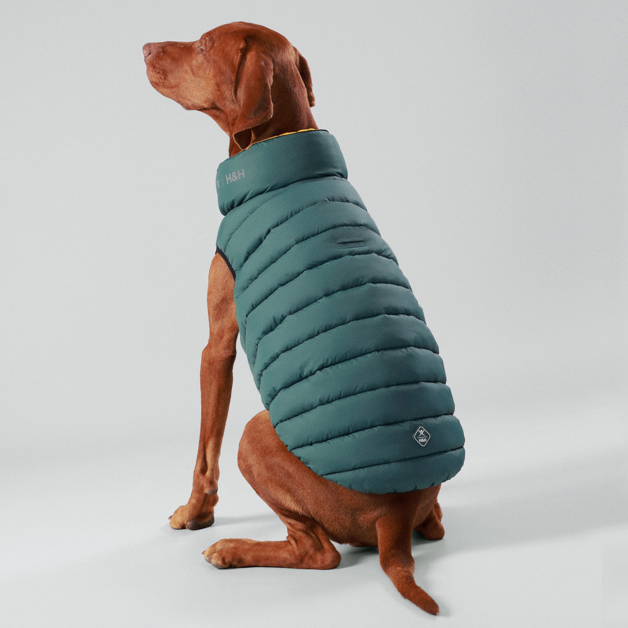 Hugo & Hudson X Hackett Reversible Dog Puffer Jacket - Forest Green & Gold