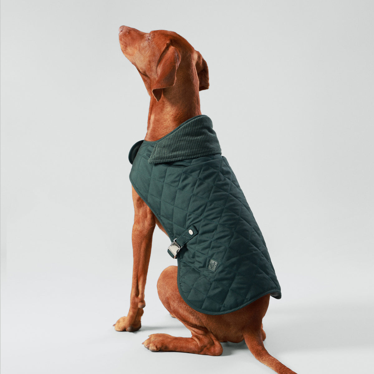 Hugo & Hudson X Hackett Quilted Dog Jacket - Forest Green
