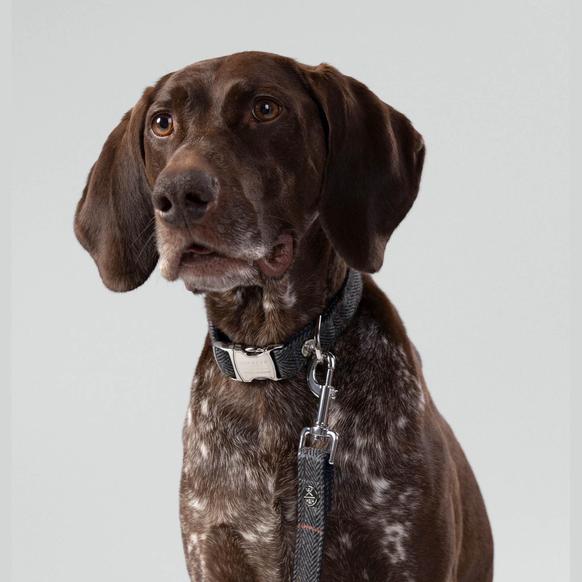 Hugo & Hudson X Hackett Grey Checked Herringbone Tweed Dog Collar