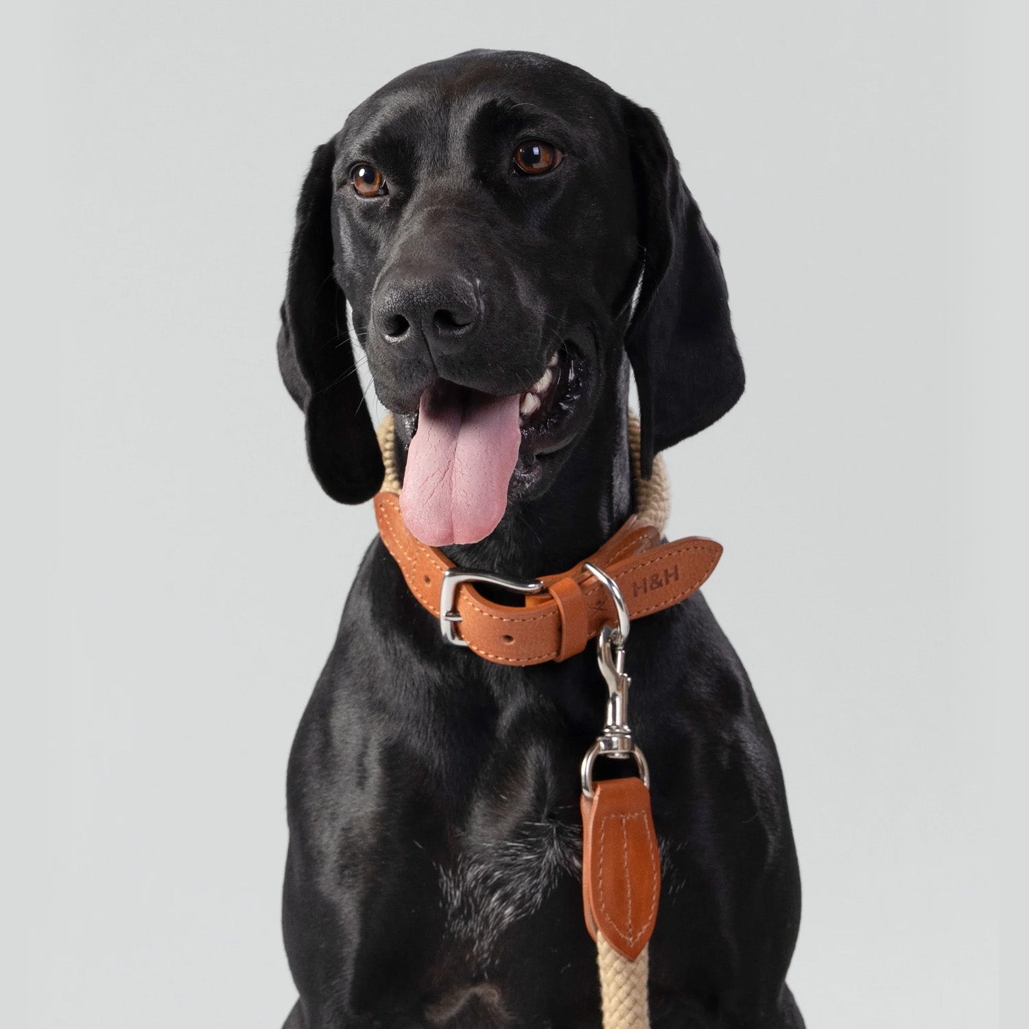 Hugo & Hudson X Hackett Natural Round Rope & Cognac Leather Dog Lead