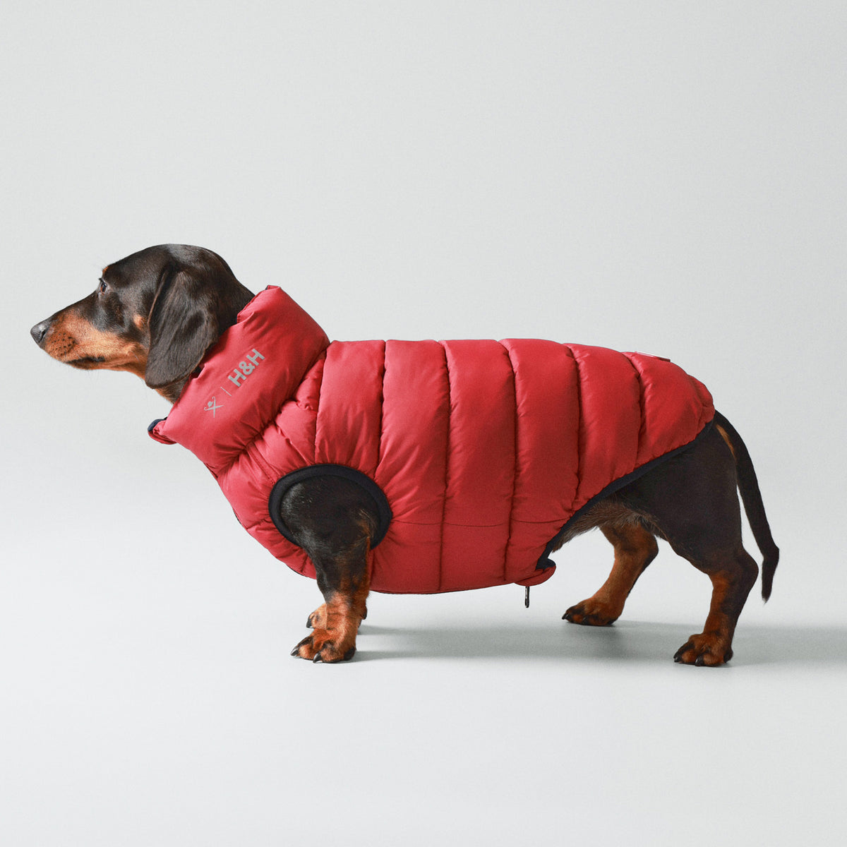 Hugo & Hudson X Hackett Reversible Dog Puffer Jacket - Navy & Berry