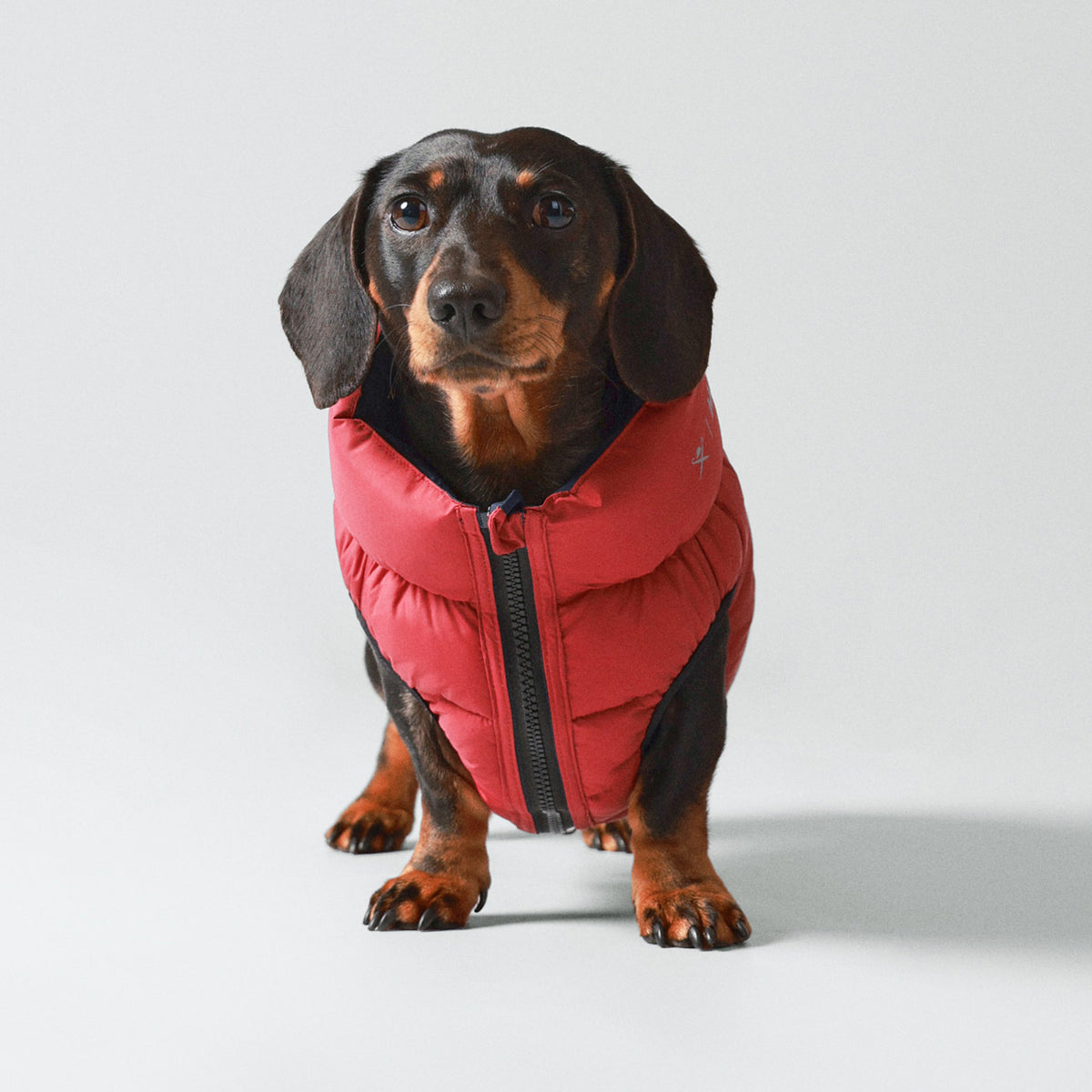 Hugo & Hudson X Hackett Reversible Dog Puffer Jacket - Navy & Berry