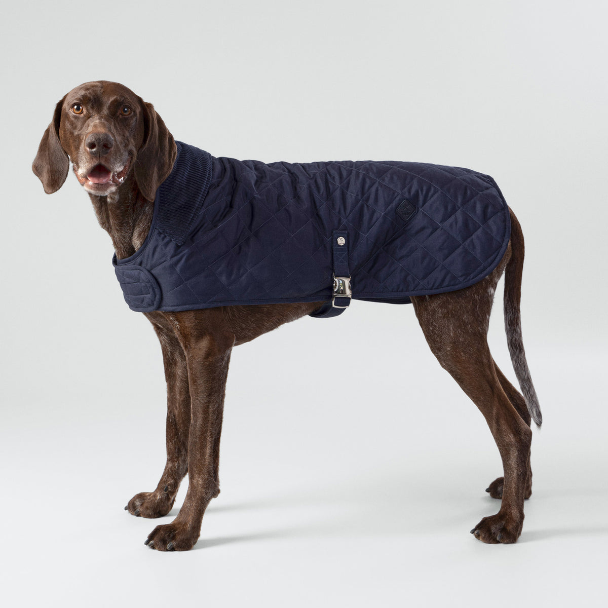 Hugo & Hudson X Hackett Quilted Dog Jacket - Navy