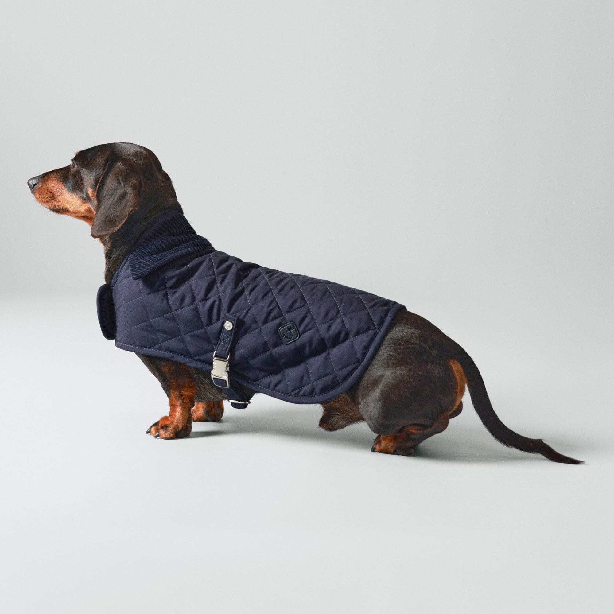 Hugo & Hudson X Hackett Quilted Dog Jacket - Navy