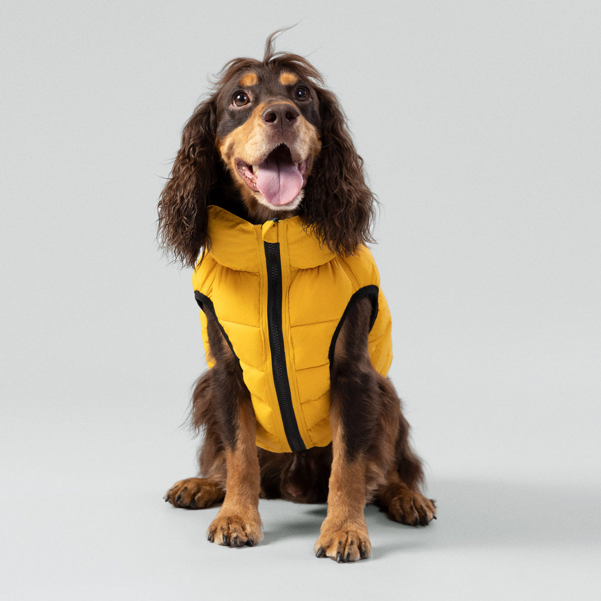 Hugo & Hudson X Hackett Reversible Dog Puffer Jacket - Forest Green & Gold