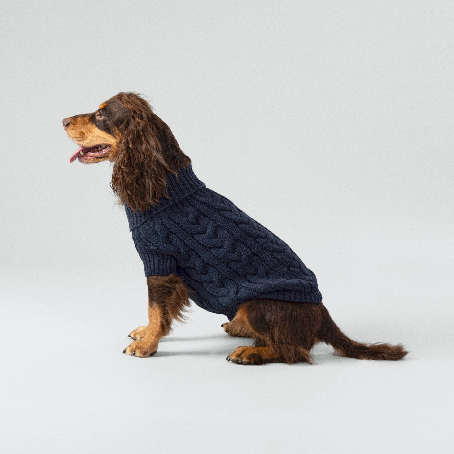 Hugo & Hudson X Hackett Cable Knit Pullover Dog Jumper - Navy