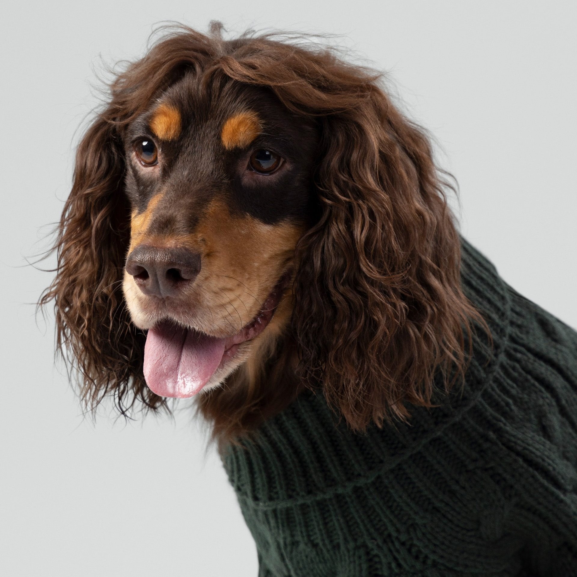 Hugo & Hudson X Hackett Cable Knit Pullover Dog Jumper - Green