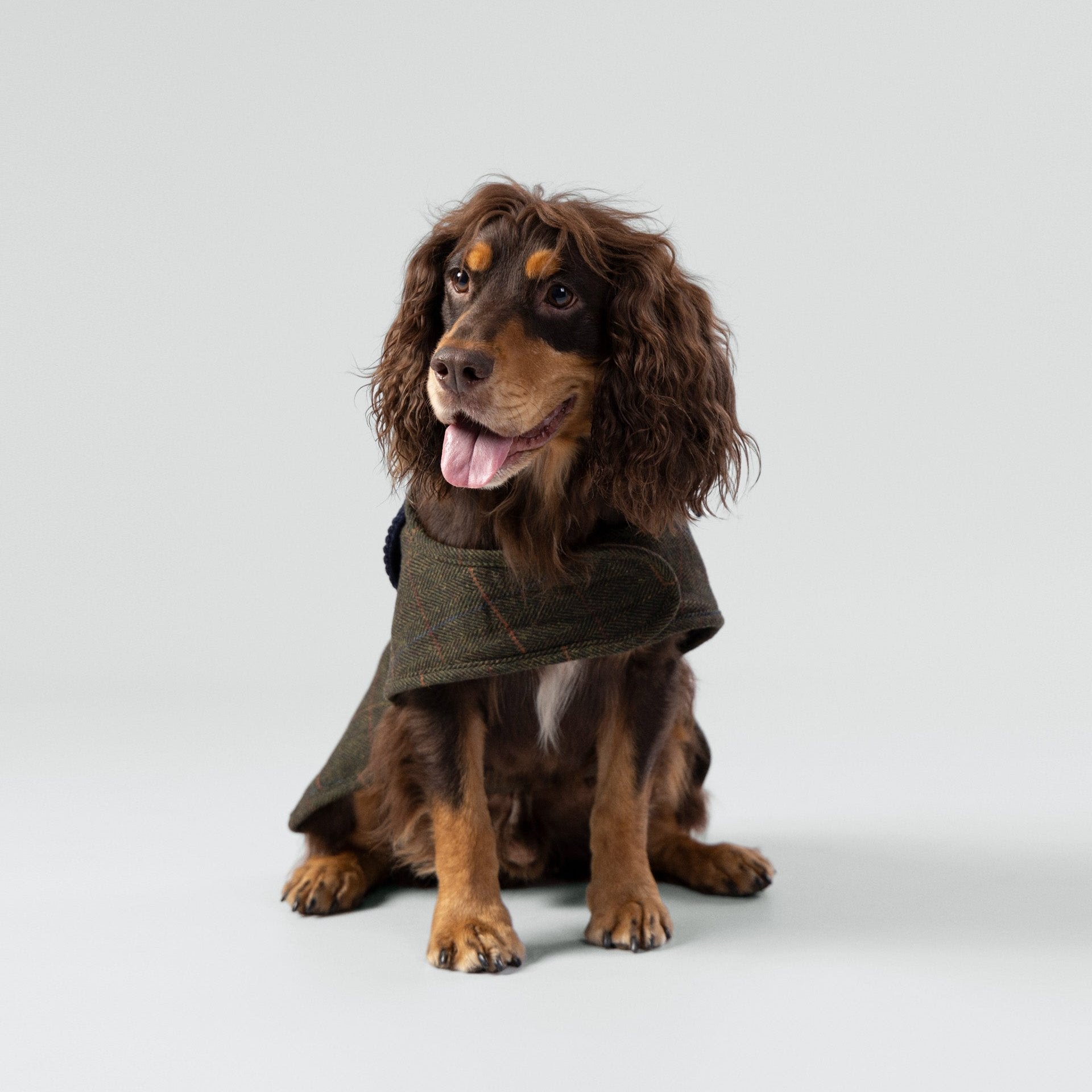 Hugo & Hudson X Hackett Dark Green Checked Herringbone Tweed Dog Jacket