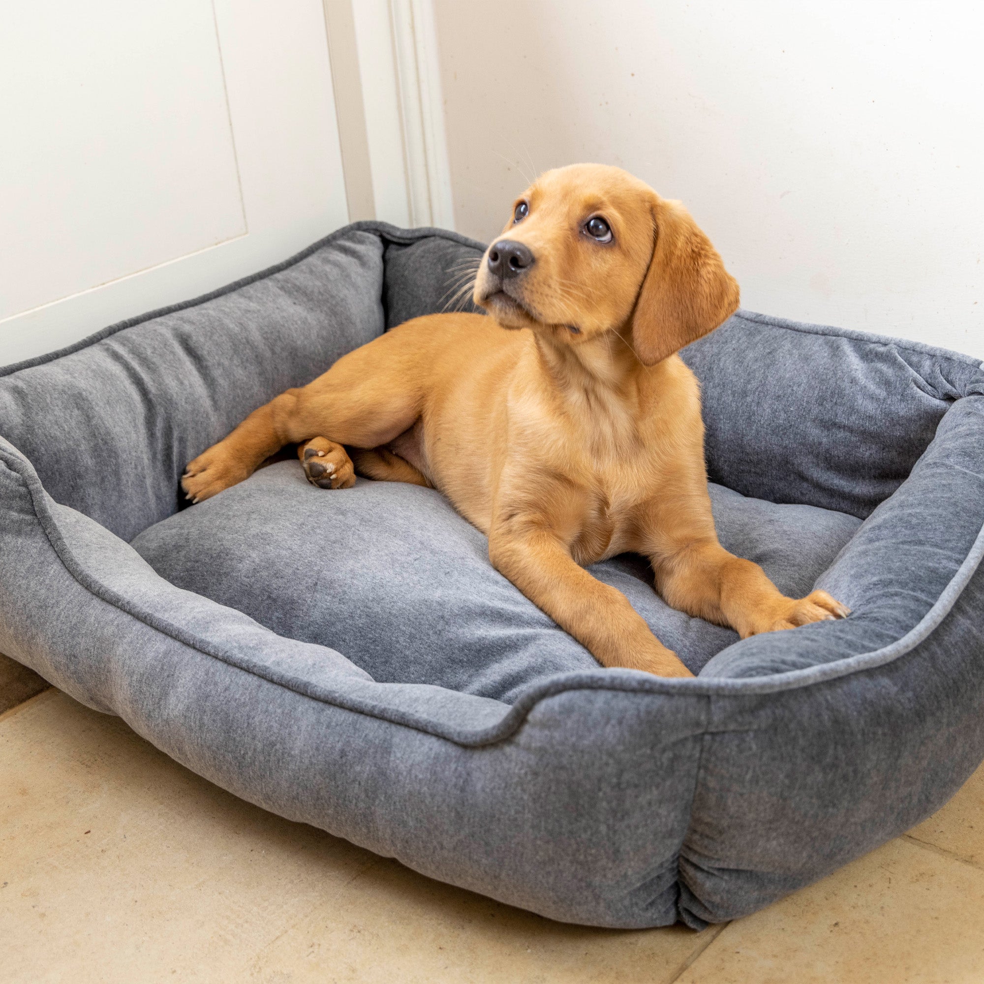 House Of Paws Grey Velvet Rectangle Dog Bed