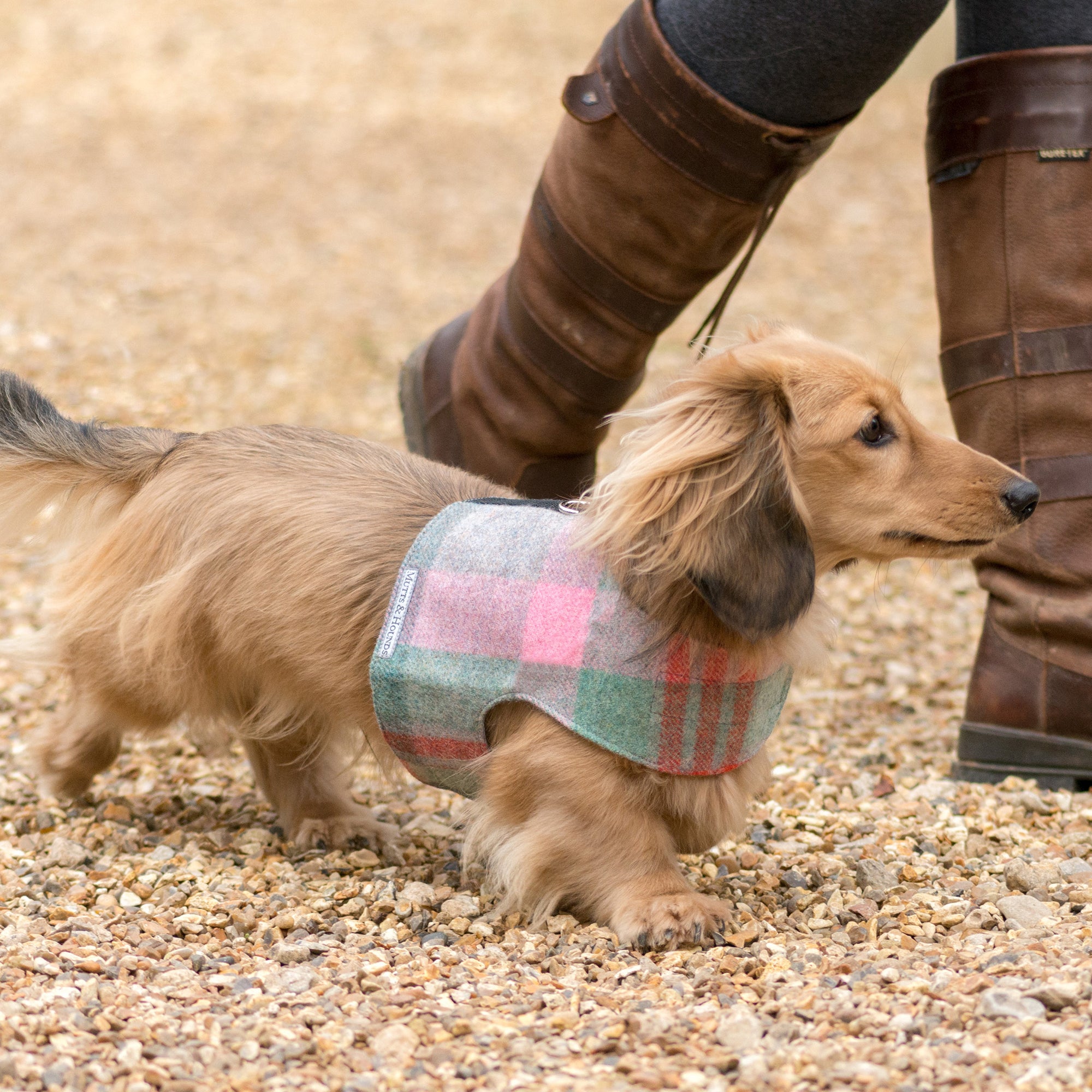 Macaroon Check Tweed Soft Dog Harness