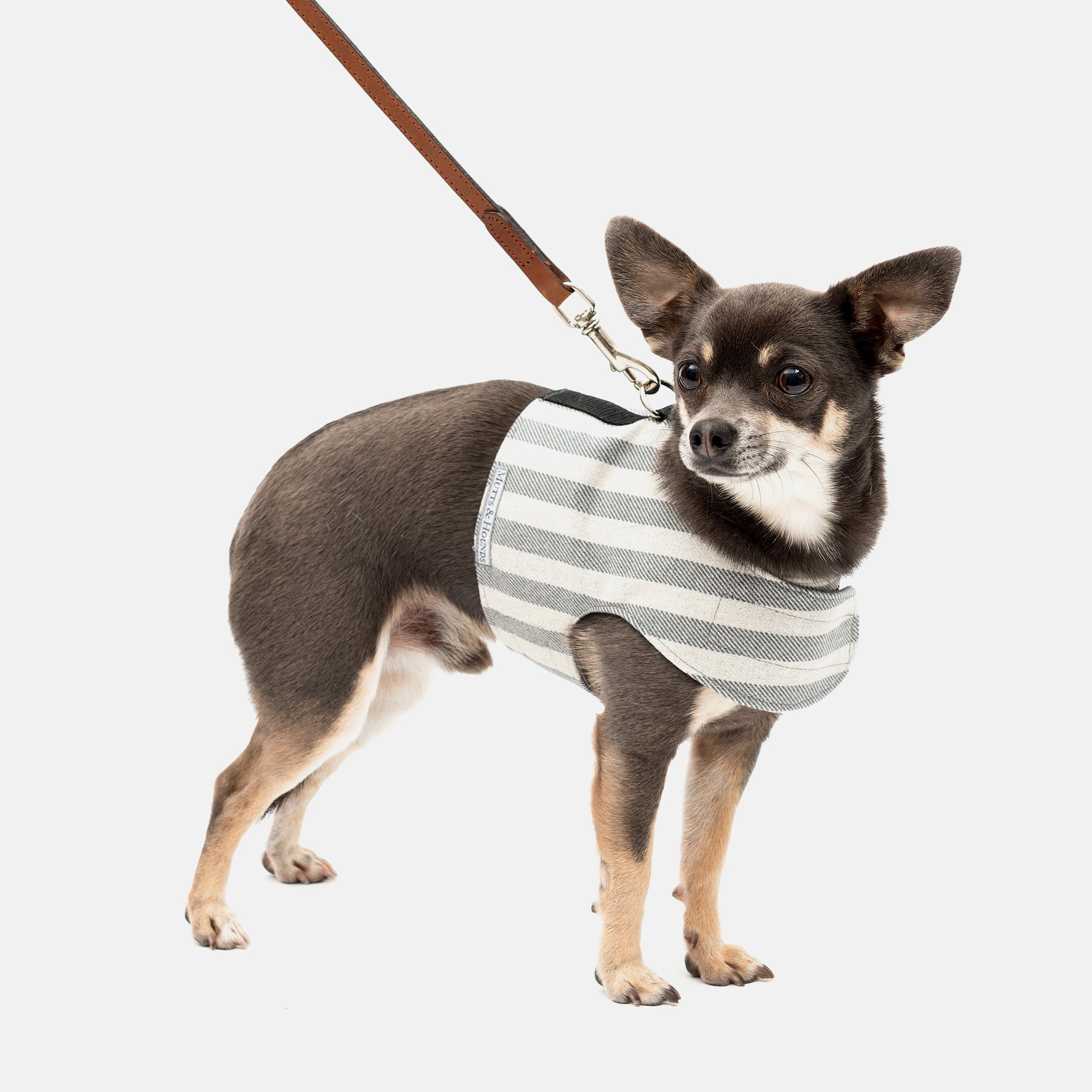 Flint Stripe Brushed Cotton Soft Dog Harness