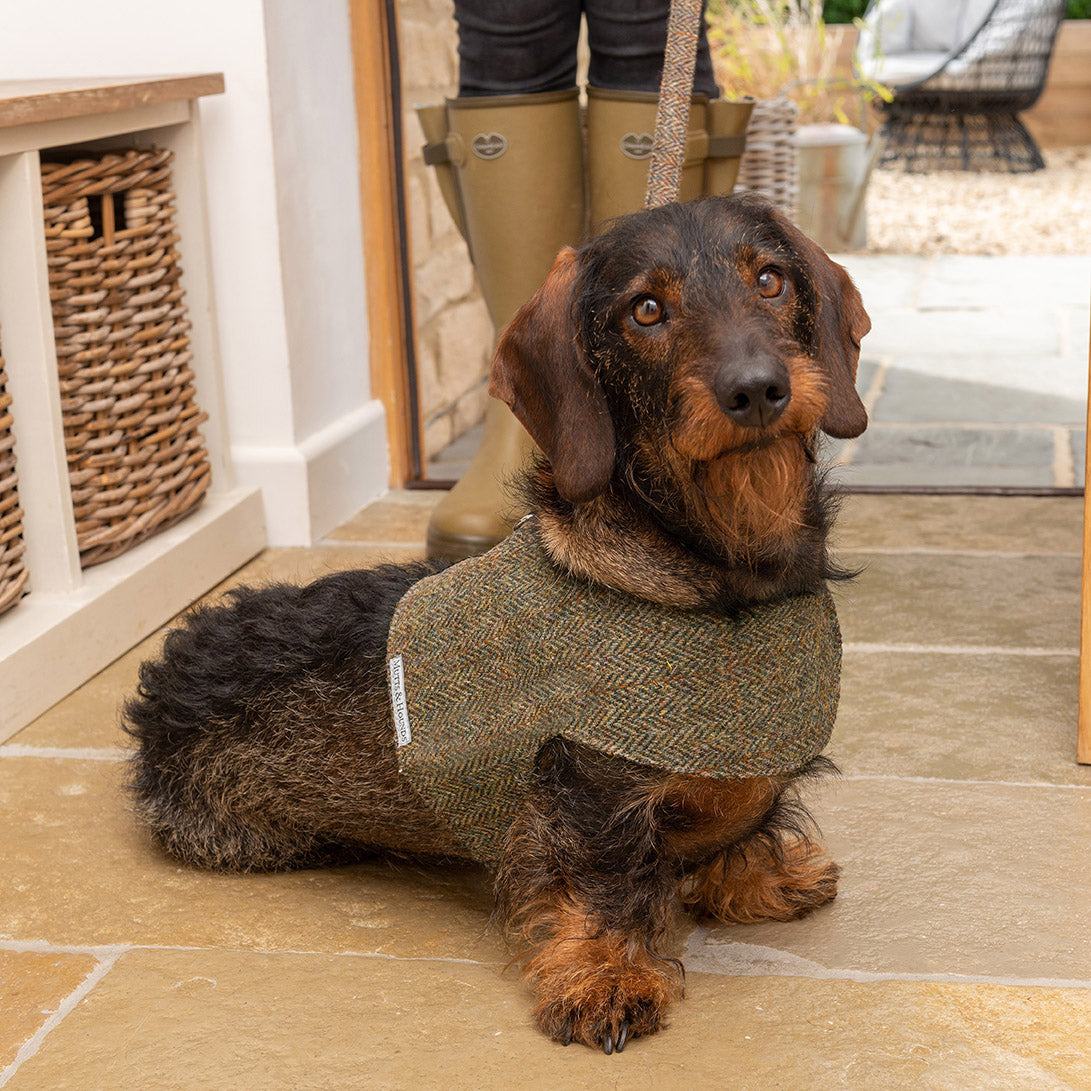 Heritage Tweed Soft Dog Harness