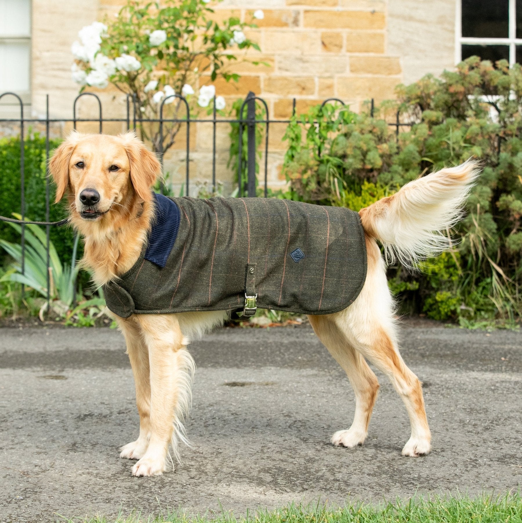 Hugo & Hudson X Hackett Dark Green Checked Herringbone Tweed Dog Jacket