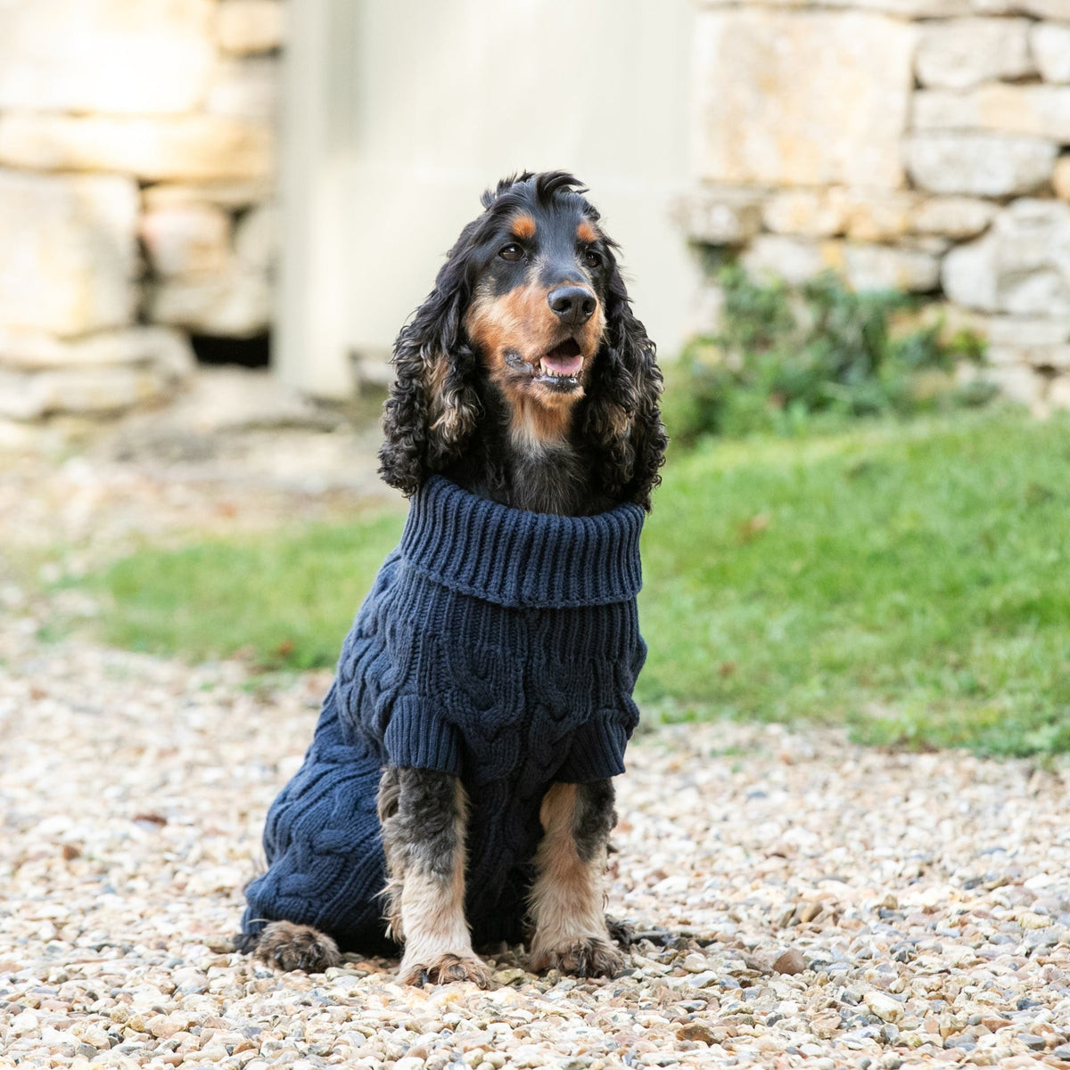 Hugo & Hudson X Hackett Cable Knit Pullover Dog Jumper - Navy