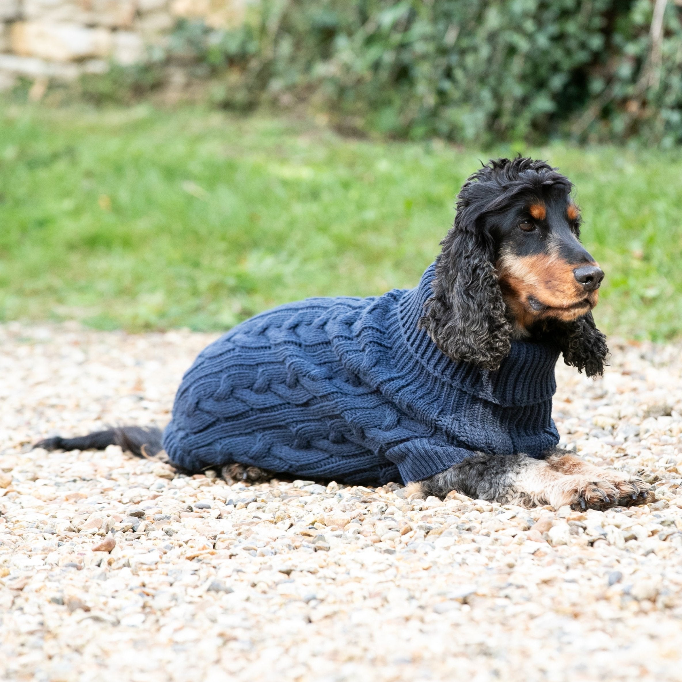 Hugo & Hudson X Hackett Cable Knit Pullover Dog Jumper - Navy
