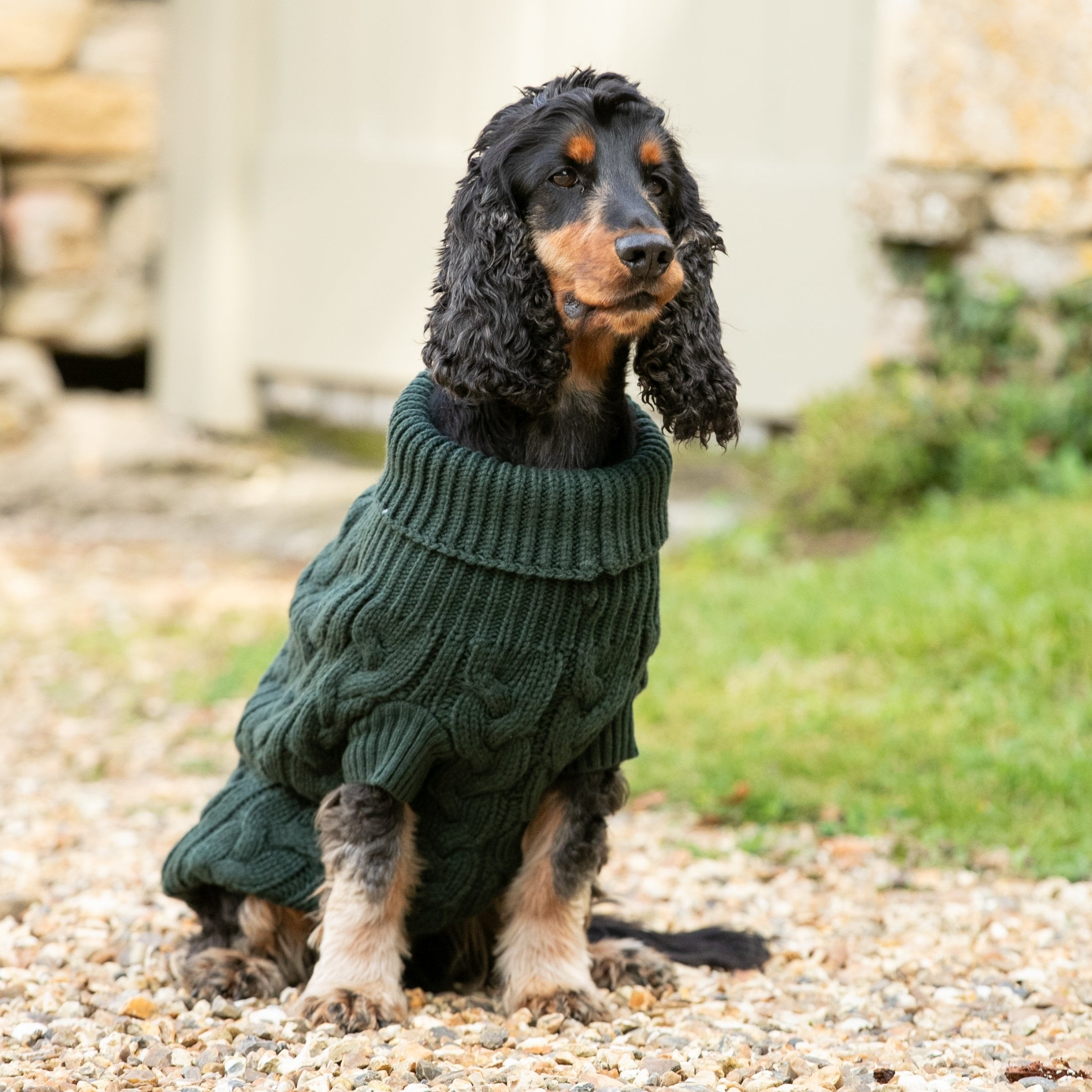 Hugo & Hudson X Hackett Cable Knit Pullover Dog Jumper - Green
