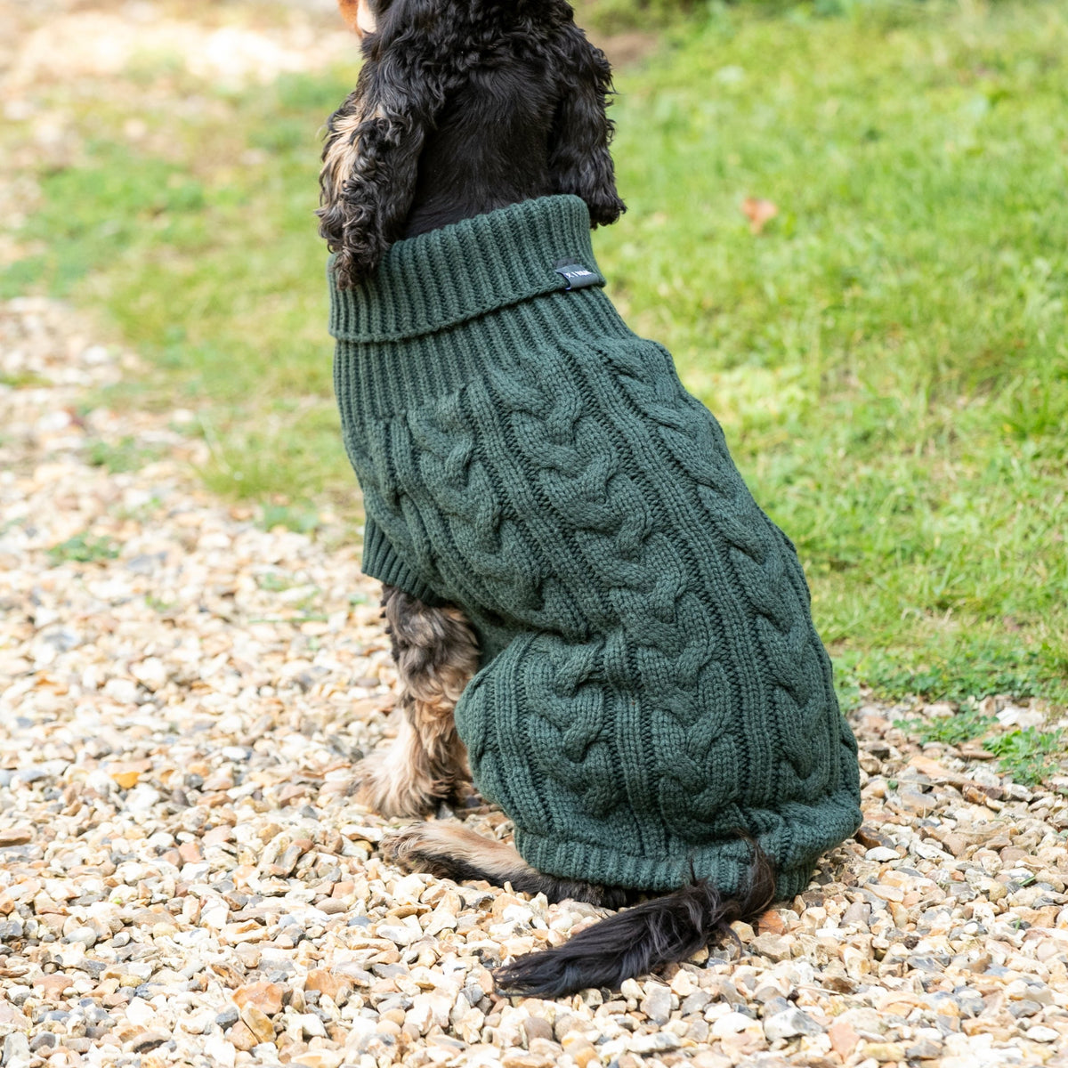 Hugo & Hudson X Hackett Cable Knit Pullover Dog Jumper - Green