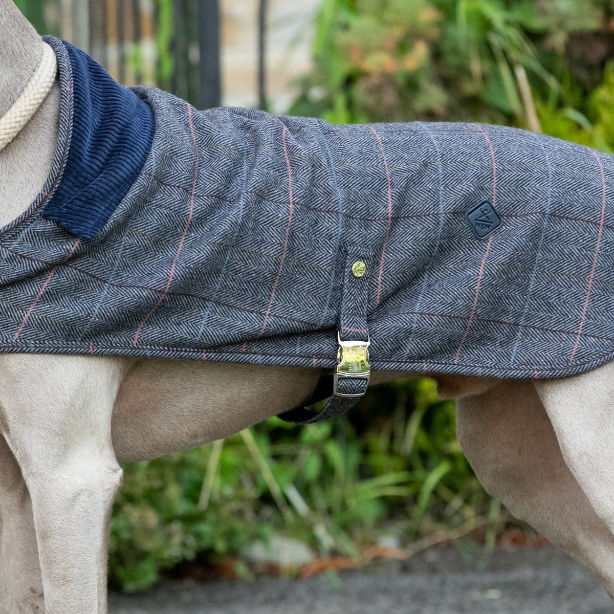 Hugo & Hudson X Hackett Grey Checked Herringbone Tweed Dog Jacket