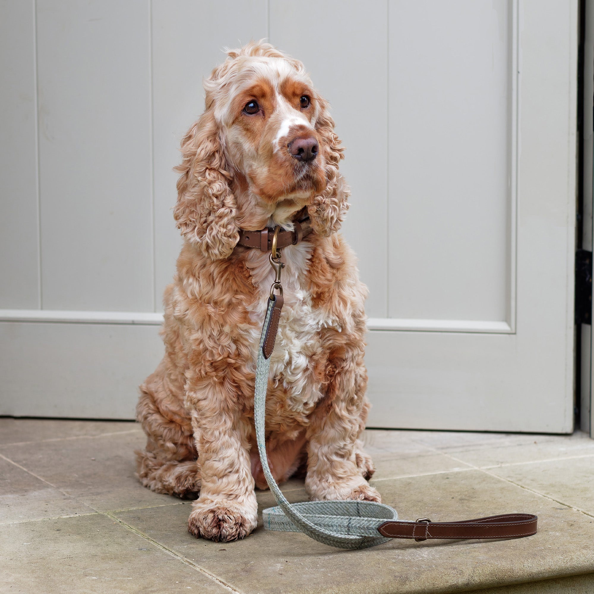 Willow Check Tweed & Leather Dog Lead