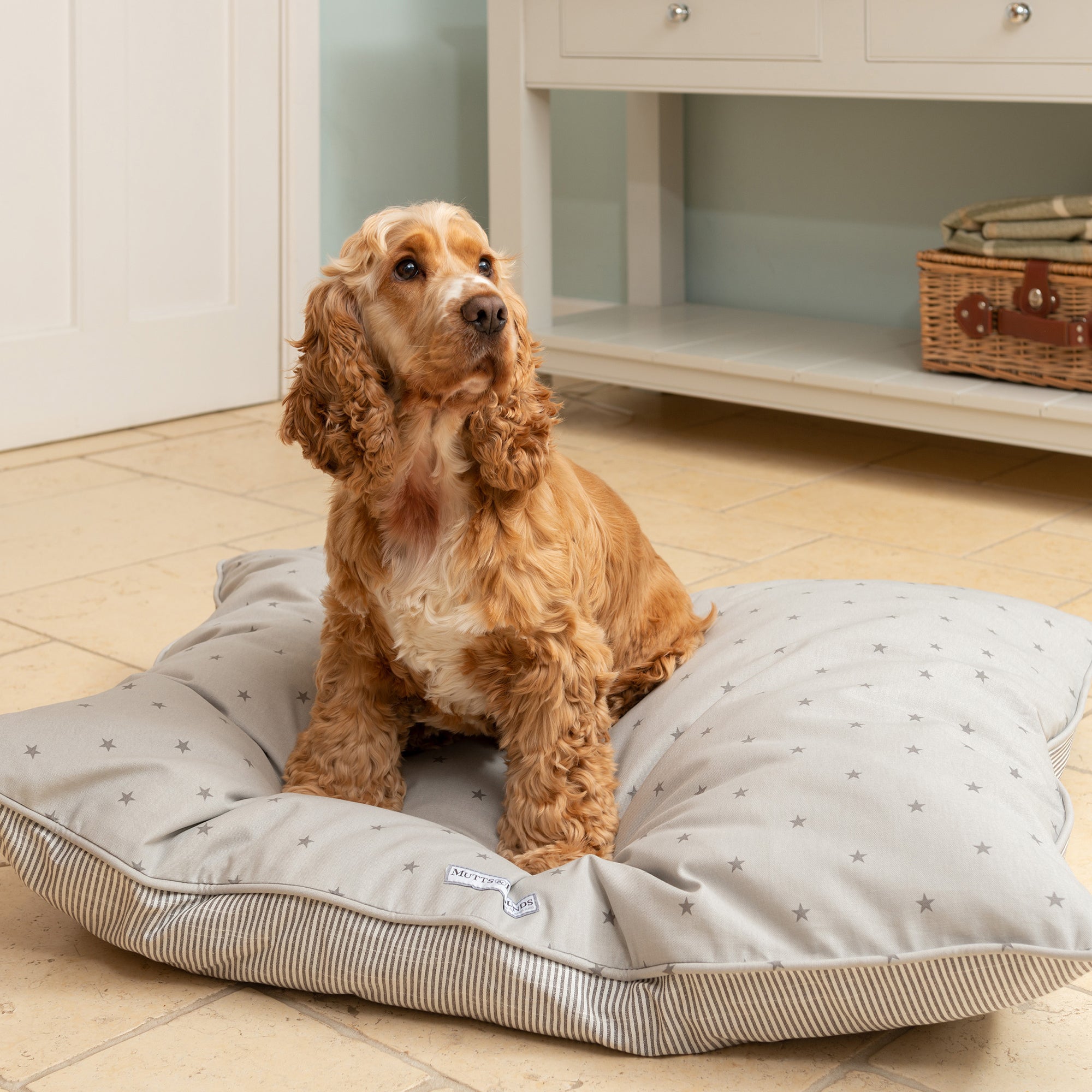 Grey Stars & Charcoal Stripe Pillow Dog Bed