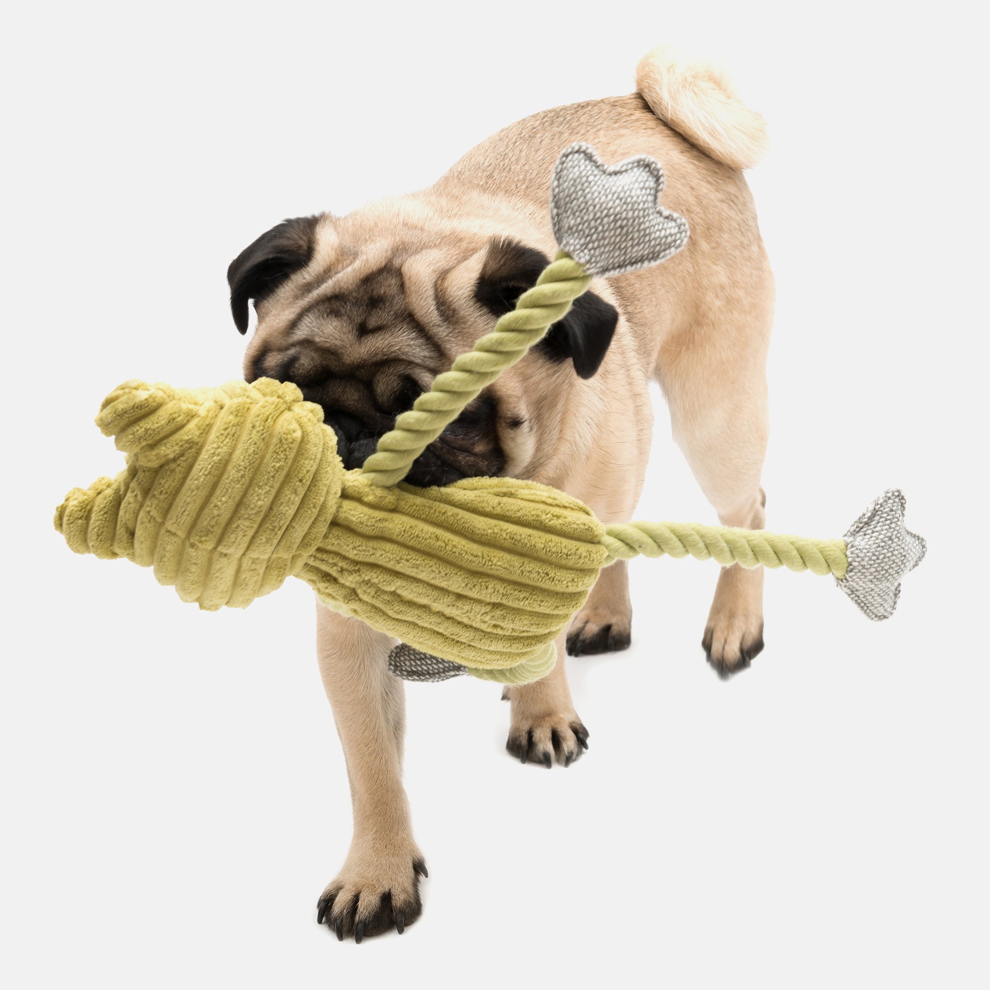 Fredrik Frog Plush Dog Toy