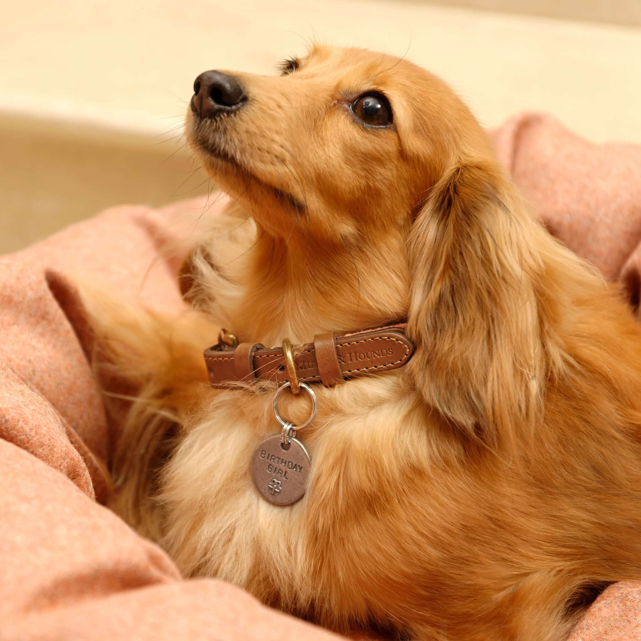 Birthday Girl Pewter Dog Tag