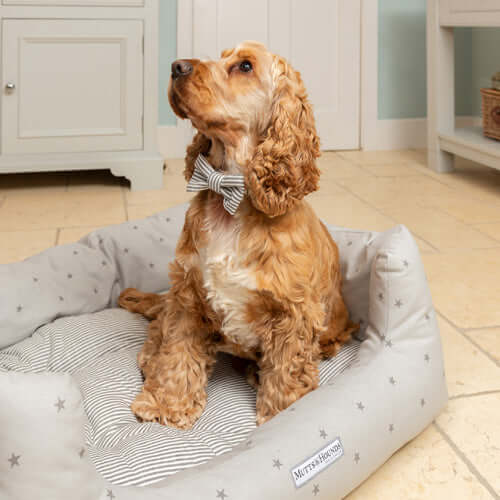 Charcoal Stripe Dog Bow Tie