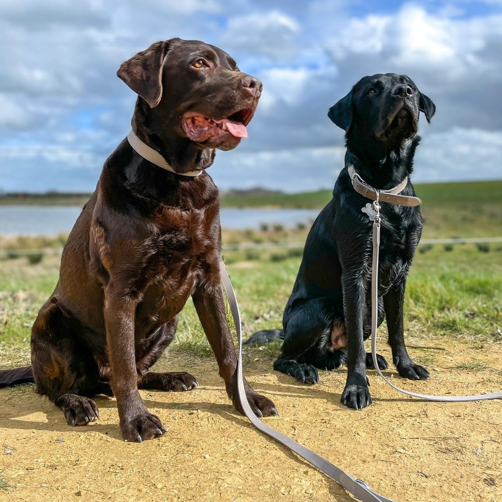 Grey Leather Dog Lead