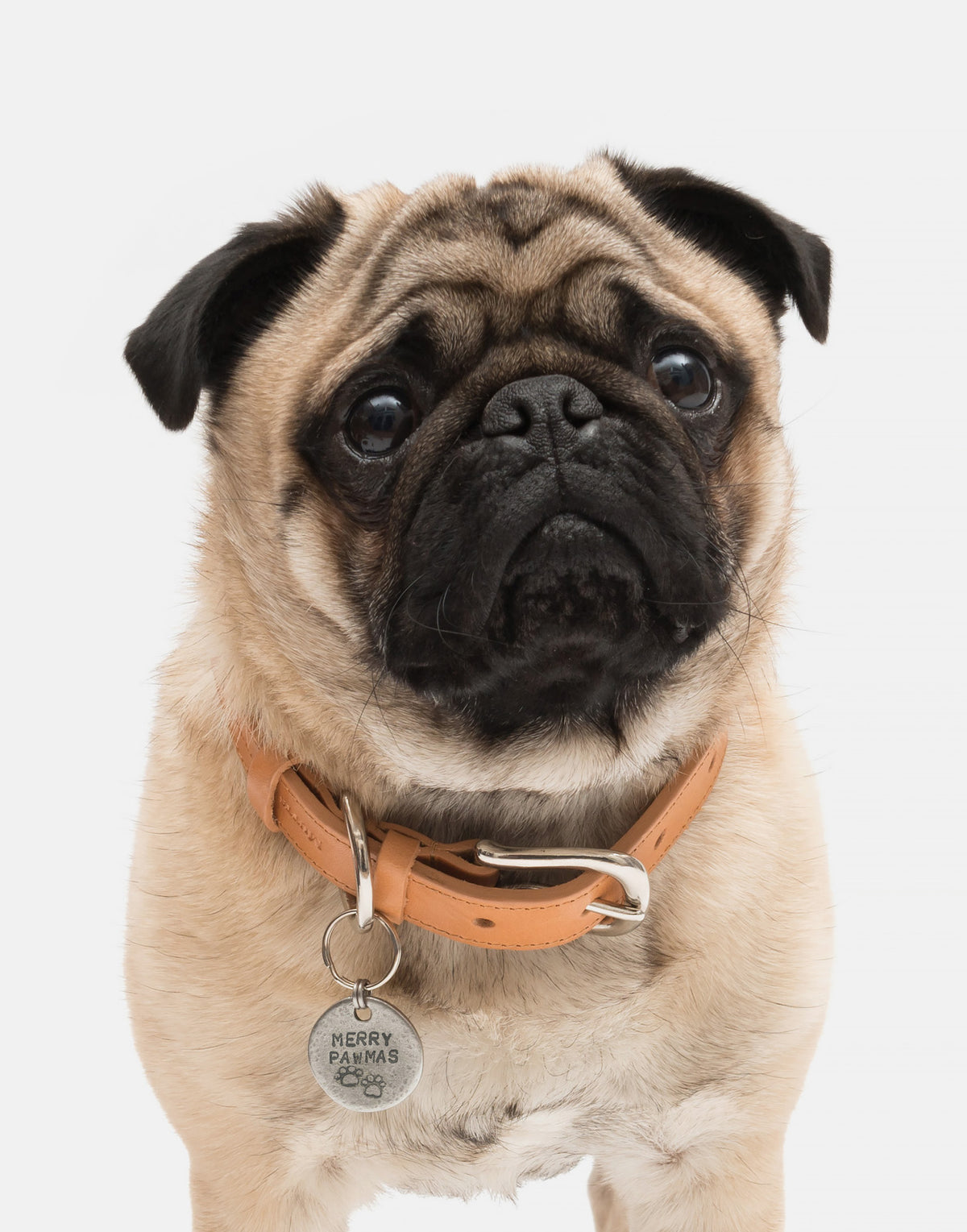 Merry Pawmas Christmas Dog Tag