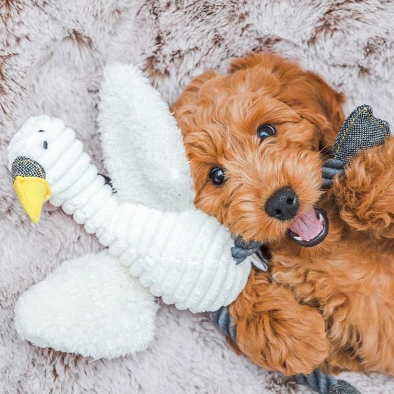 Sally Swan Plush Dog Toy