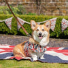 Union Jack Soft Dog Harness