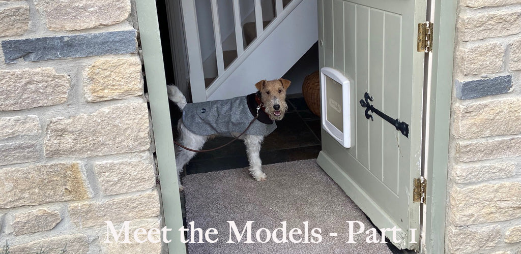 Meet the Dog Models - Part 1