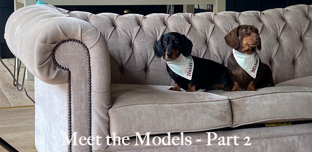 Meet the Dog Models - Part 2