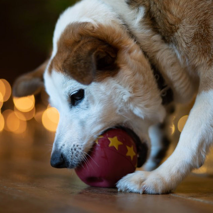 Bauble Christmas Latex Squeaky Dog Toy