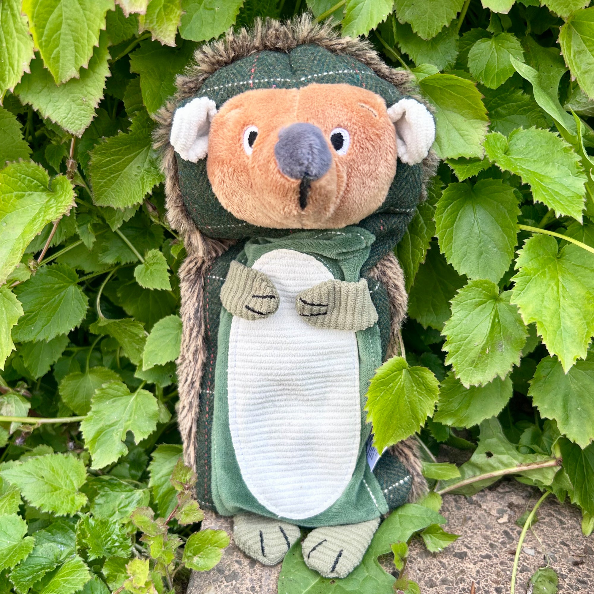 Hedgehog Tweed Plush Dog Toy