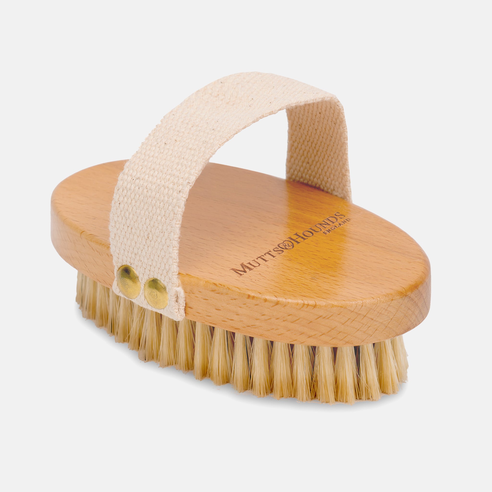 Bristly dog toothbrush uk best sale