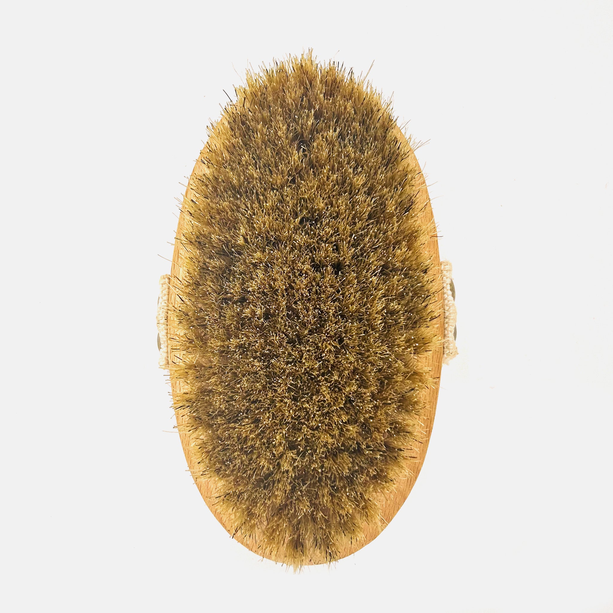 Soft Bristle Palm Dog Brush