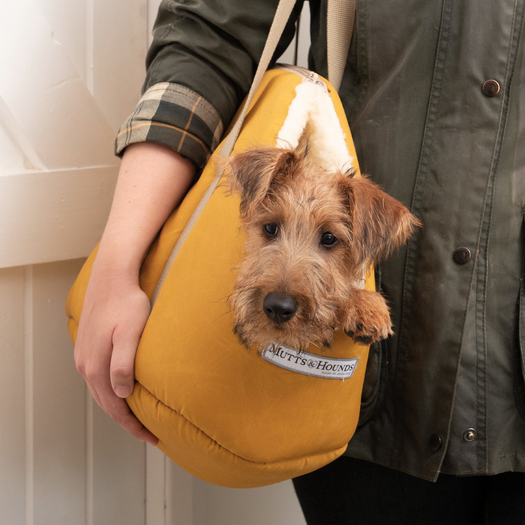 Mustard Wax Dog Carrier
